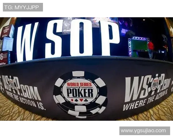 挑战极限勇者争锋格斗任务真人秀引爆热血竞技新风潮